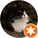 Hidajet Hadzic profile picture